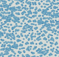 Ковровое покрытие Flotex  Sottsass 990202 Bacteria