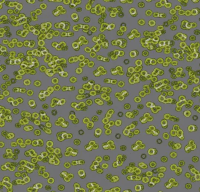 Ковровое покрытие Flotex  Sottsass 990302 Bacteria